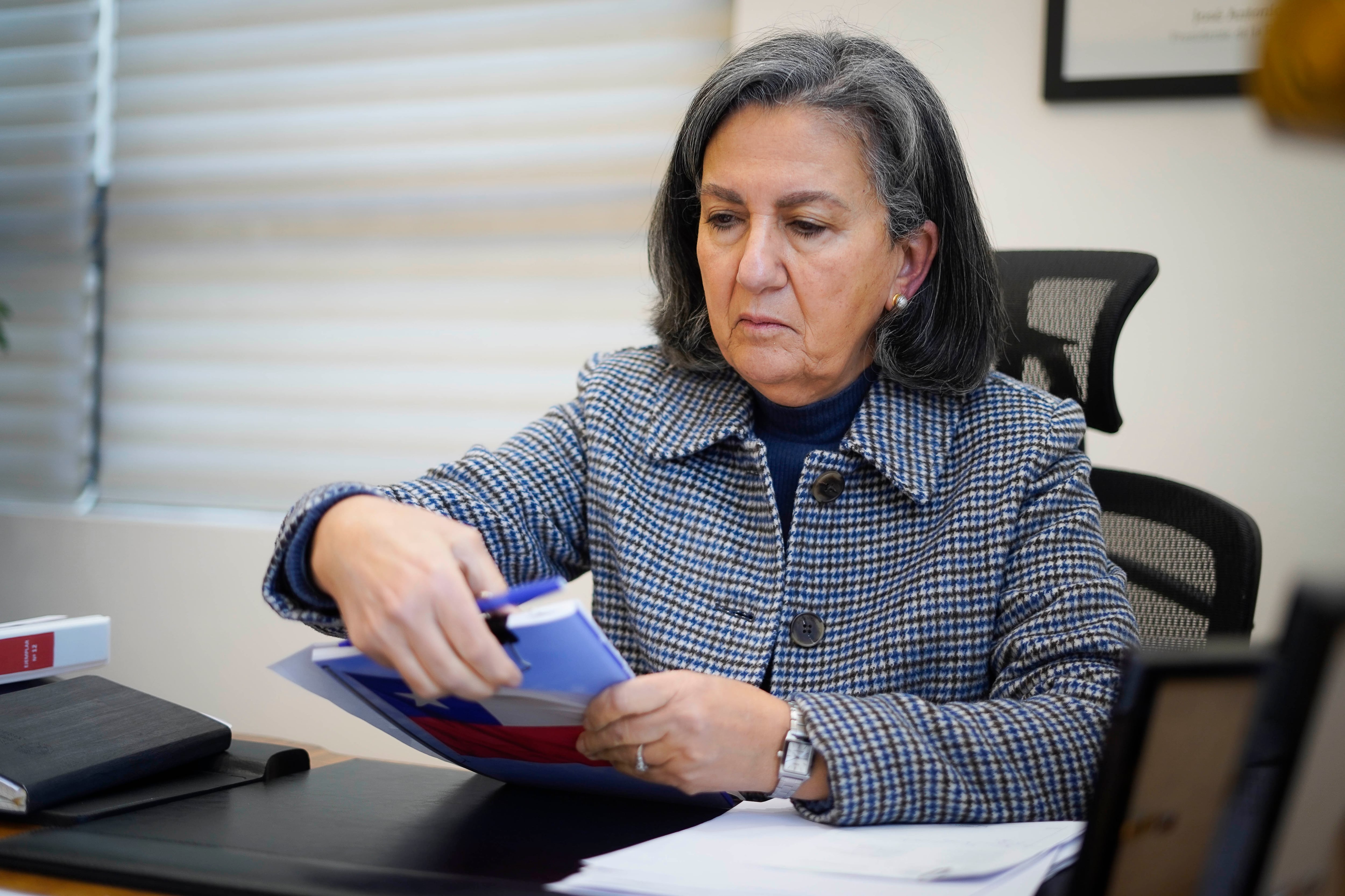 La ministra de Salud, May Chomali.