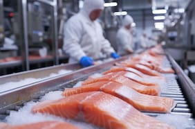 Unidad de crimen organizado del SII presenta denuncia por robo de salmón y prepara nuevas acciones