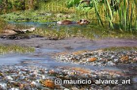 Así era el hábitat y la dieta de los mamíferos que vivieron hace 15 mil años en la Patagonia chilena tras el fin de la era del Hielo