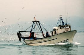 Acta de comité científico de la Subsecretaría de Pesca objeta ley de fraccionamiento: “Contraviene principios básicos de manejo pesquero”