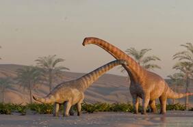 ¿Cómo eran los habitantes de la Patagonia antes del hielo?