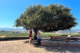 Rick Harrison de El Precio de la Historia le pidió matrimonio a su novia en Chile