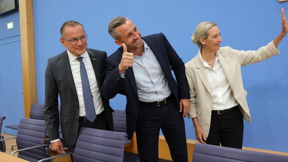 El avance del AfD en Alemania