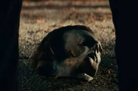 Michael Myers vuelve para matar en este teaser tráiler de Halloween Kills