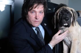 Los perros clones del Presidente de Argentina