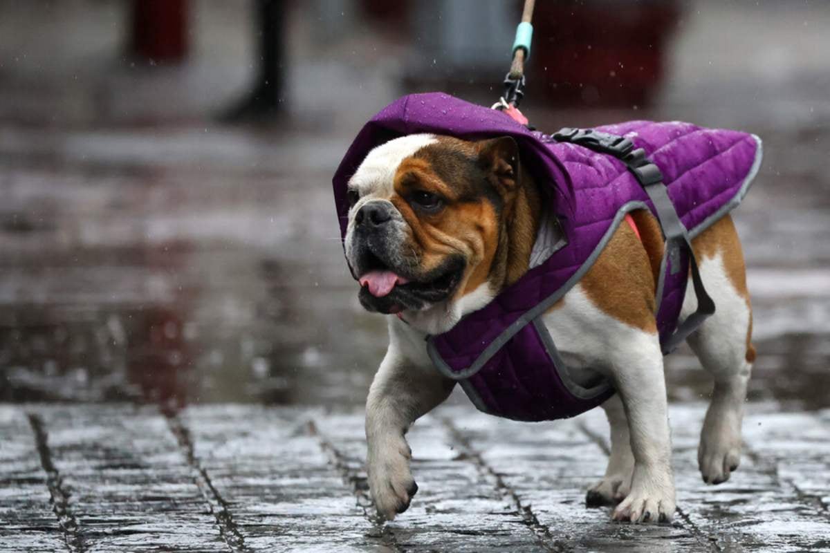 Frío y Lluvia Sorprenden a Santiago: Dirección Meteorológica Anuncia Cambio Radical en el Clima