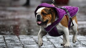 En qué parte de la Región Metropolitana caerá lluvia hoy, según Meteochile