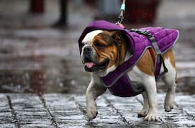 Tiempo en Santiago: ¿Llueve hoy en la Región Metropolitana?