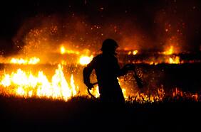 Decretan alerta roja en Dalcahue por incendio forestal cercano a sectores poblados