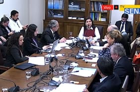 Dudas por sanciones marcan debate por proyecto que obliga a diputados y senadores a someterse a test de drogas