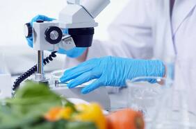 Fondo de riesgo anuncia inversión de US$50 millones para startups “AgriFoodTech” latinoamericanas, con foco en Chile