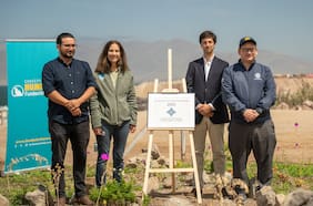 Antofagasta celebra reconocimiento internacional del Humedal Aguada La Chimba