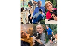 Manzana, Pixie o Pelusa: las mascotas de los candidatos presidenciales y cómo el bienestar animal entró en la campaña