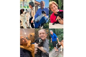 Manzana, Pixie o Pelusa: las mascotas de los candidatos presidenciales y cómo el bienestar animal entró en la campaña