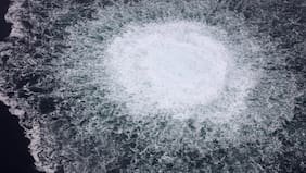 Por qué la investigación por el sabotaje al gasoducto Nord Stream divide a Europa y cómo se relaciona con Ucrania