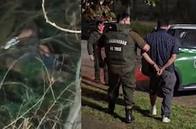 Detienen a delincuente que trepó árbol de más de 20 metros para evitar su captura en La Araucanía