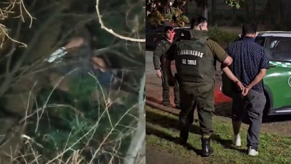 Detienen a delincuente que trepó árbol de más de 20 metros para evitar su captura en La Araucanía
