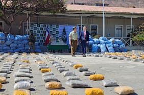 Marihuana y ketamina: Carabineros y Fiscalía concretan histórica incautación de 4.831 kilos de droga en Calama