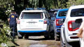 Reporte de seguridad del gobierno: esta semana homicidios registraron una víctima menos en comparación al mismo periodo 2025