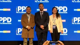 Soto asume presidencia del PPD y llama a articular una oposición amplia frente al gobierno de Kast