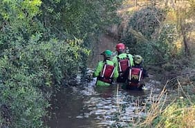 La enigmática desaparición de una mujer adulta mayor en un restaurante de Limache