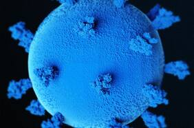 BA.2.9: el silencioso avance de desconocida subvariante de Ómicron que podría incrementar contagios en invierno