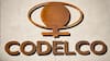 Economistas de la Red de Centros Progresistas rechazan abrir la propiedad de Codelco a privados