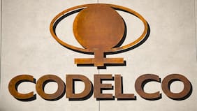 Economistas de la Red de Centros Progresistas rechazan abrir la propiedad de Codelco a privados