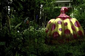 Naturaleza Cósmica: Yayoi Kusama estrena su nueva exposición en Nueva York