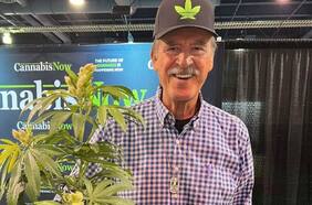 Vicente Fox: “Estamos en un punto incierto en cuanto a la legalización de la marihuana en México”