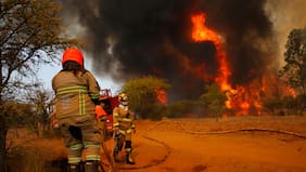 Dos trenes detenidos y humo en Ruta 5 Sur: Declaran alerta roja en San Rafael por incendio forestal