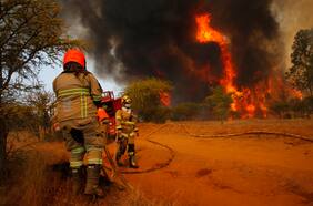 Declaran alerta roja en Chillán y Chillán Viejo por incendios forestales