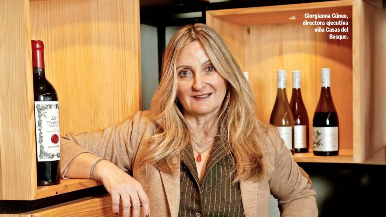 Giorgianna Cúneo compra acciones de Aguas Andinas