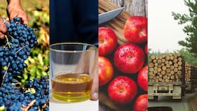 Intercambio comercial: ¿Qué le compra Chile a Venezuela y qué productos son los que se exportan a ese país?