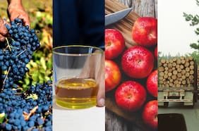 Intercambio comercial: ¿Qué le compra Chile a Venezuela y qué productos son los que se exportan a ese país?