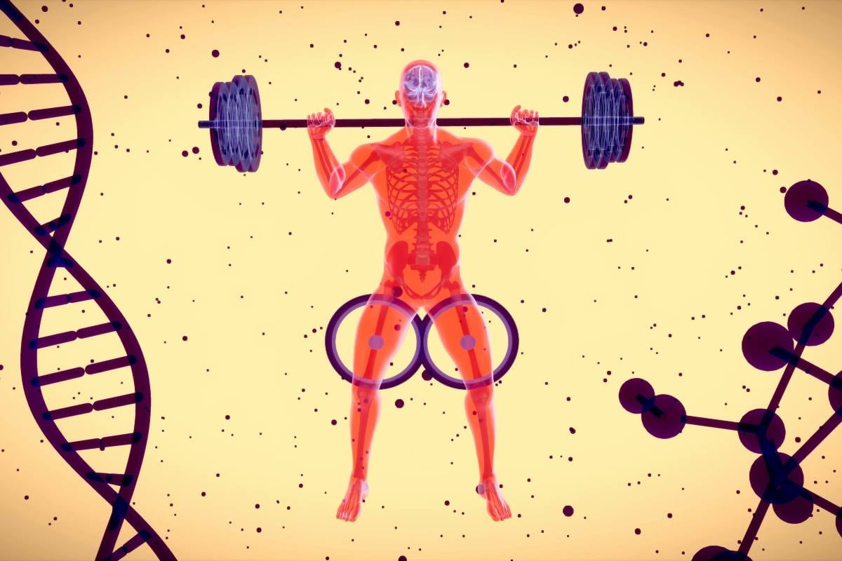 Cuánta proteína puede realmente absorber el cuerpo en cada comida: esto reveló un estudio