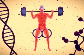 Cuánta proteína puede realmente absorber el cuerpo en cada comida: esto reveló un estudio