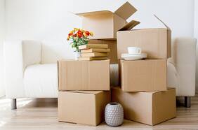 Startup de mudanzas y bodegas, Mudango, pretende alcanzar US$ 8 millones en ventas