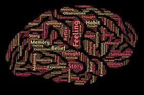 Columna de Vicente Medel: “Desigualdad estructural y estructura cerebral”