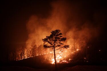 Al menos 18 fallecidos han dejado los incendios forestales en Corea del Sur.