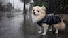 ¿Por qué parece difícil pronosticar lluvia en Santiago?