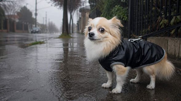 ¿Por qué parece difícil pronosticar lluvia en Santiago?