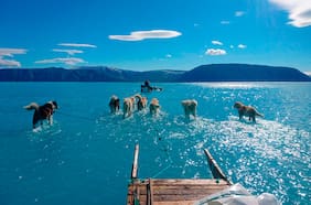 Informe advierte que cambio climático ya provocó 7 consecuencias irreversibles en Chile y el mundo