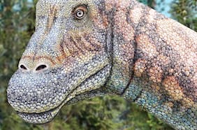 ¿Cómo se hacen las ilustraciones de dinosaurios?