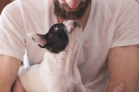 ¿Por qué a veces amamos más a nuestras mascotas que a otras personas?