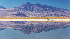 Coeva de Antofagasta decide abrir proceso de revisión de la RCA de Albemarle en el Salar de Atacama y excluye a SQM