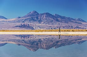 Coeva de Antofagasta decide abrir proceso de revisión de la RCA de Albemarle en el Salar de Atacama y excluye a SQM