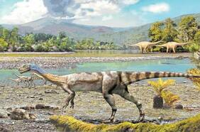 Fin al mito de la inexistencia de dinosaurios en Chile: en los últimos 10 años se han descubierto cuatro nuevas y extraordinarias especies