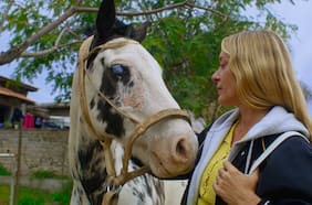 Confusiones y certezas