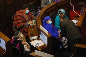 Pleno de la Convención aprueba solo uno de los 38 artículos que derivaron del proceso de Consulta Indígena